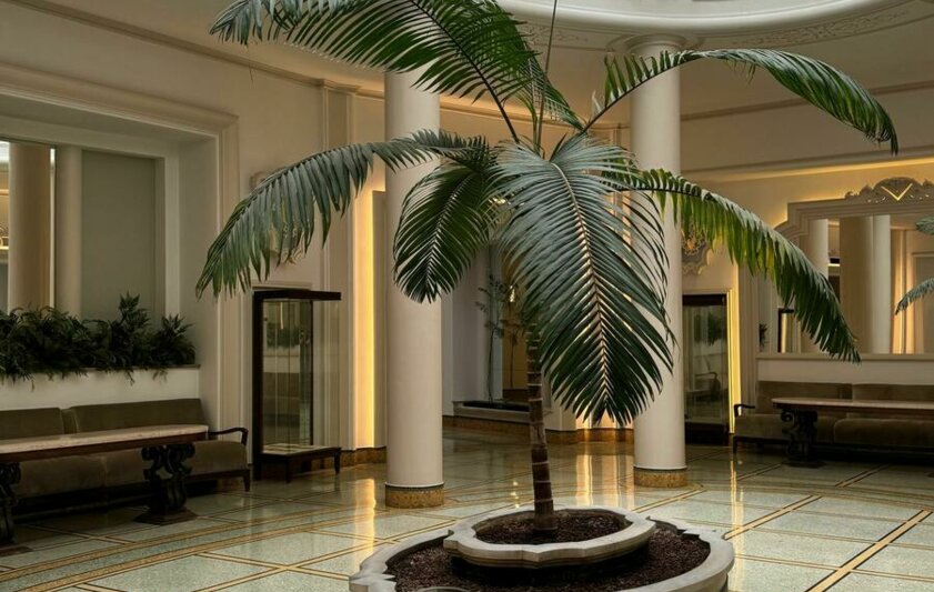 whatsapp image 2025 03 21 at 12.13.25 4 