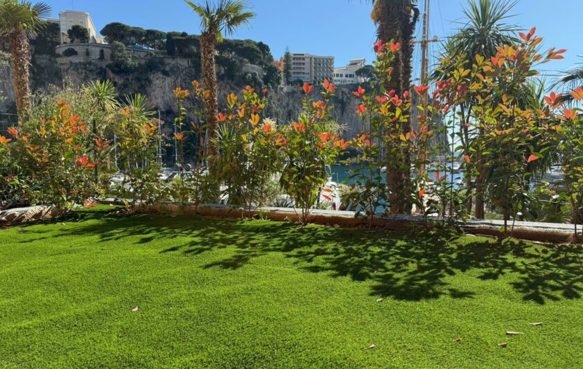 whatsapp image 2025 05 08 at 11.58.45